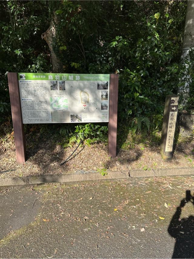 静岡県浜松市天竜区二俣町二俣 鳥羽山城の写真2