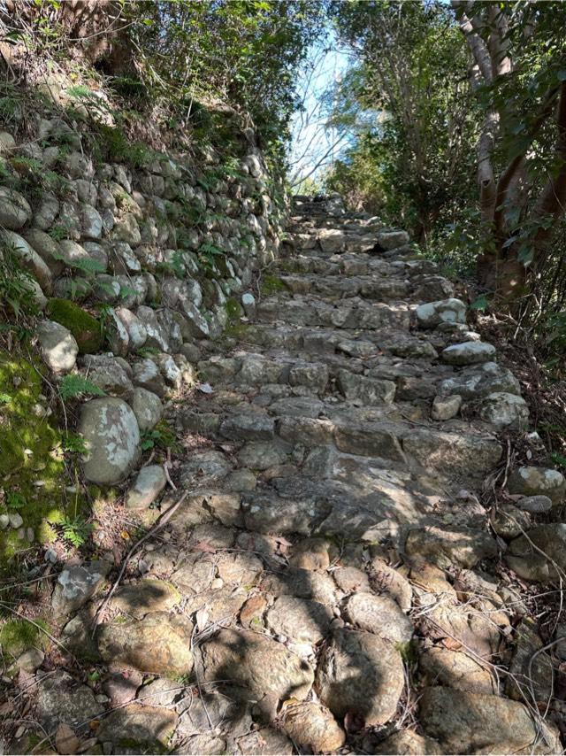 静岡県浜松市天竜区二俣町二俣 鳥羽山城の写真3