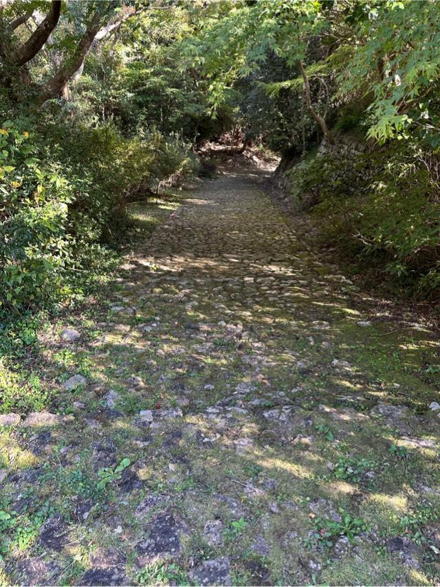 静岡県浜松市天竜区二俣町二俣 鳥羽山城の写真4