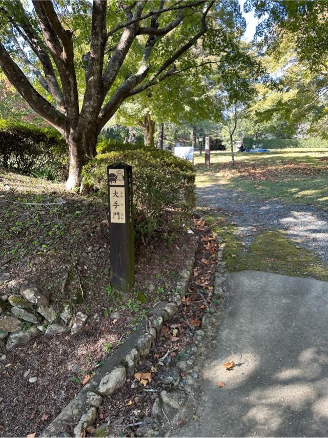 静岡県浜松市天竜区二俣町二俣 鳥羽山城の写真5