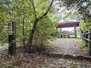 鳥羽山城の登城記録(本多百助さん)