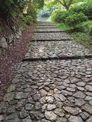 鳥羽山城の登城記録(ひでちゃんさん)