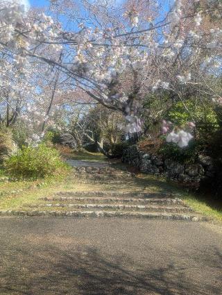 鳥羽山城の登城記録(千　百万さん)