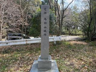 鳥羽山城の登城記録(MJさん)