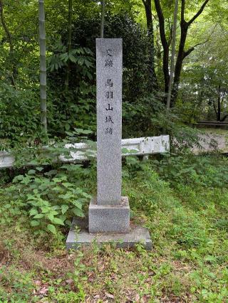 鳥羽山城の登城記録(イトーシゲさん)