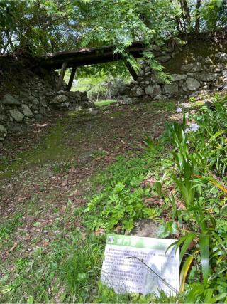 鳥羽山城の登城記録(フウサカさん)