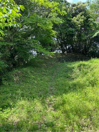 鳥羽山城の登城記録(フウサカさん)