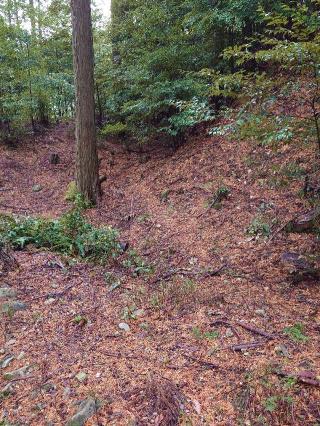 犬居城の登城記録(気分は上昇さん)