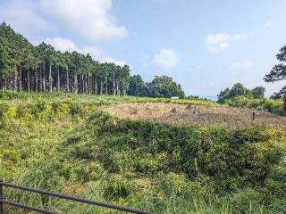 諏訪原城の登城記録(泰成さん)