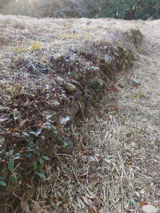 諏訪原城の登城記録(くぺさん)