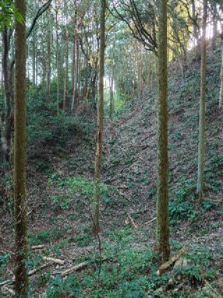 諏訪原城の登城記録(くぺさん)