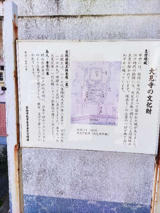 見付端城の登城記録(マリリさん)