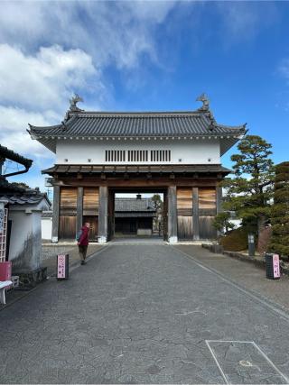 掛川城（雲霧城･松尾城）の登城記録(清正さん)