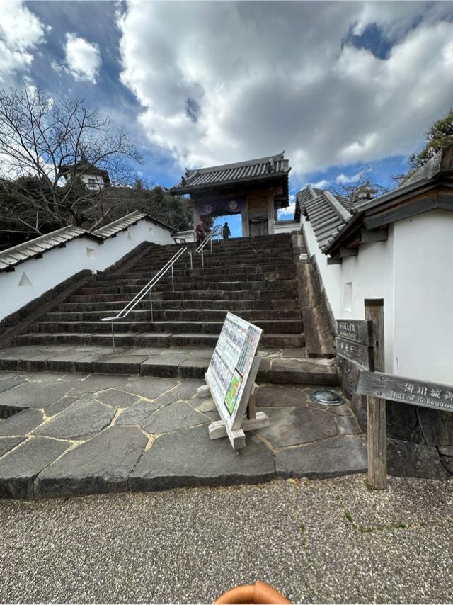 静岡県掛川市掛川１１３８−２４ 掛川城（雲霧城･松尾城）の写真6