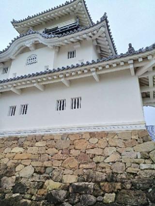 掛川城（雲霧城･松尾城）の登城記録(ひでちゃんさん)