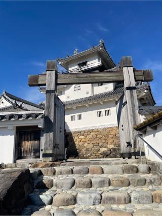 掛川城（雲霧城･松尾城）の登城記録(hideさん)