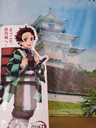 掛川城（雲霧城･松尾城）の登城記録(たくまささん)