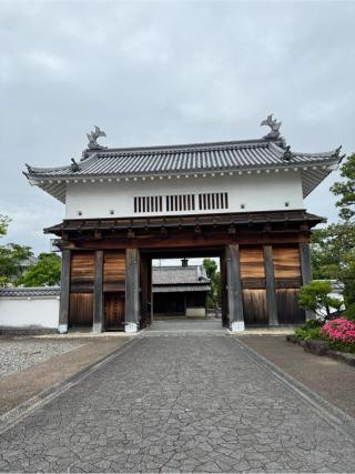 掛川城（雲霧城･松尾城）の登城記録(無極さん)