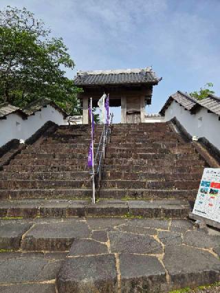 掛川城（雲霧城･松尾城）の登城記録(jinさん)