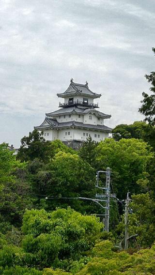 掛川城（雲霧城･松尾城）の登城記録(アキラさん)