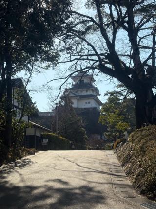 掛川城（雲霧城･松尾城）の登城記録(ジェイバーたかよし　さん)