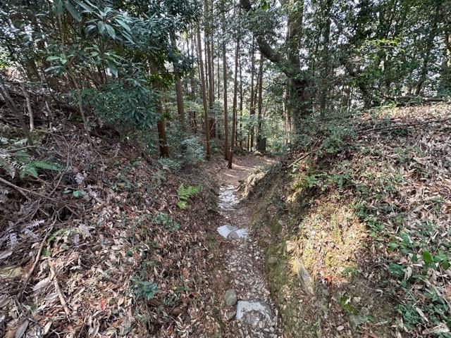 静岡県掛川市上土方嶺向３１３６ 高天神城の写真6