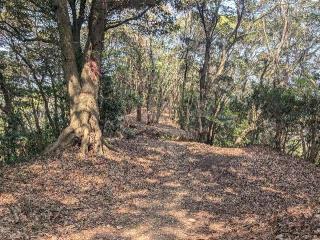 高天神城の登城記録(泰成さん)