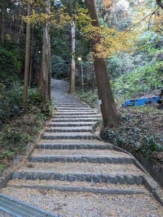 高天神城の登城記録(千　百万さん)