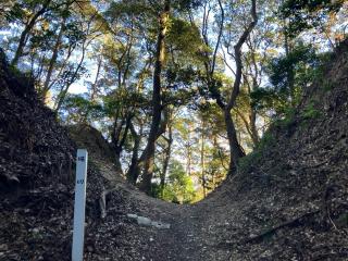 高天神城の登城記録(なみしょうさん)