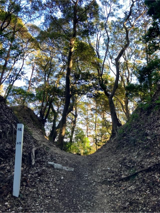静岡県掛川市上土方嶺向３１３６ 高天神城の写真3
