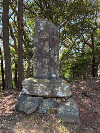 高天神城の登城記録(げんさんさん)