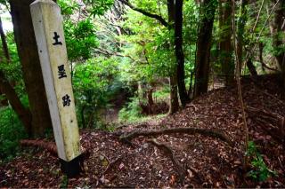 高天神城の登城記録(rinさん)