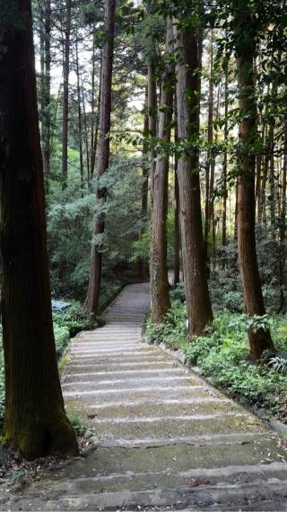 高天神城の登城記録(っょさん)