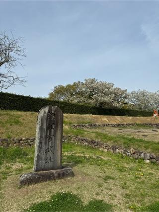 横須賀城の登城記録(ポルコさん)