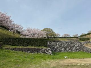 横須賀城の登城記録(ポルコさん)