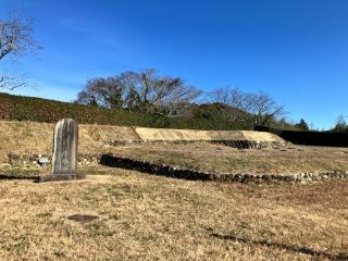 横須賀城の登城記録(なみしょうさん)