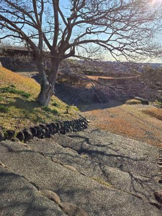 横須賀城の登城記録(ムークンさん)