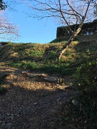 横須賀城の登城記録(ムークンさん)