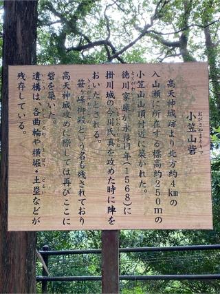 小笠山砦の登城記録(クレナイトさん)