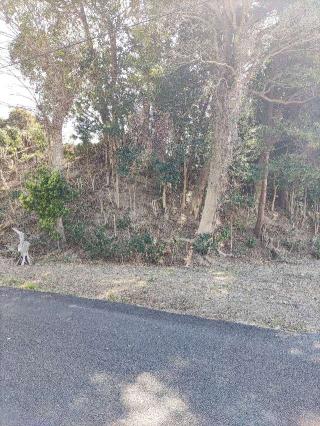 馬伏塚城の登城記録(マリリさん)