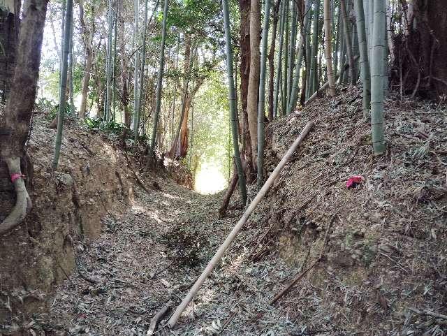 静岡県袋井市岡崎 岡崎城の写真2