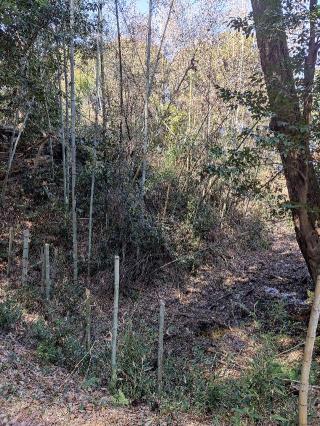 岡崎城の登城記録(マリリさん)