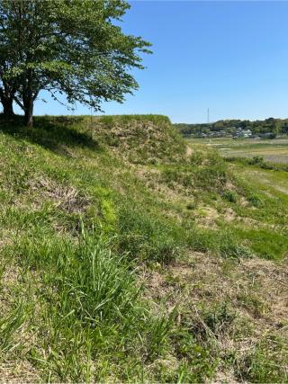 久野城の登城記録(フウサカさん)