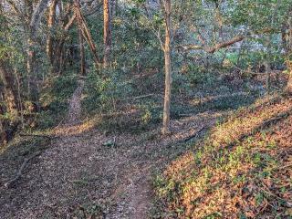 宇津山城の登城記録(泰成さん)