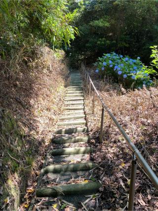 獅子ヶ鼻砦の登城記録(クレナイトさん)