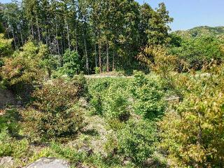 勝間田城の登城記録(本多百助さん)