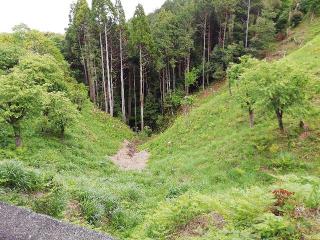 勝間田城の登城記録(じゅんぺいさん)