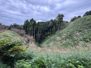 勝間田城の登城記録(Wattさん)