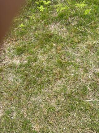 勝間田城の登城記録(ジェイバーたかよし　さん)