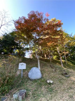 勝間田城の登城記録(クレナイトさん)